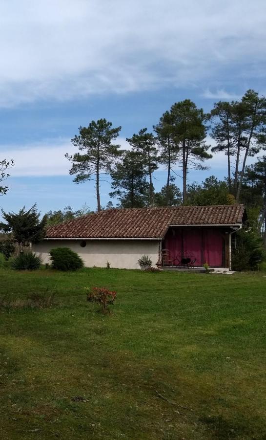 Maison Confortable Avec Terrasse En Bois Au Calme Sans Vis A Vis , 2 Chambres, Sur Un Parc De 4000M2 Arbore Et Clos Pissos Bagian luar foto